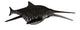 Shonisaurus Marine Reptile Fish Wall Decal
