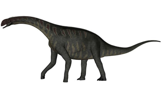 Jobaria Dinosaur White Wall Decal Design 2