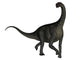 Jobaria Dinosaur White Wall Decal Design 1