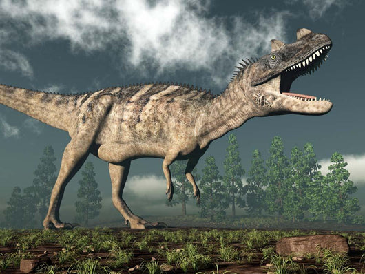 Ceratosaurus Dinosaur Roaring Wall Decal Design 1