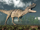 Ceratosaurus Dinosaur Roaring Wall Decal Design 1