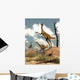 Herd Gallimimus Dinosaurs Desert Wall Decal