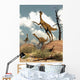 Herd Gallimimus Dinosaurs Desert Wall Decal