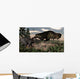 Tyrannosaurus Rex Roaring Triceratops Wall Decal