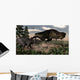 Tyrannosaurus Rex Roaring Triceratops Wall Decal