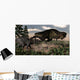 Tyrannosaurus Rex Roaring Triceratops Wall Decal