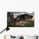Tyrannosaurus Rex Roaring Triceratops Wall Decal