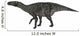 Iguanodon Dinosaur White Wall Decal Design 1