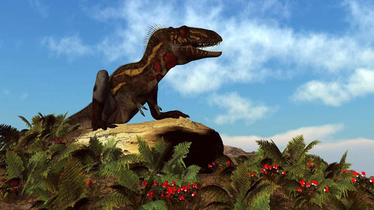 Nanotyrannus Dinosaur Resting Rock Wall Decal