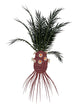 Cycadeoidea Prehistoric Plant Wall Decal