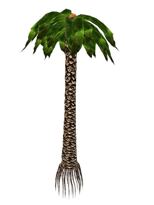Bjuvia Simplex Prehistoric Tree Wall Decal
