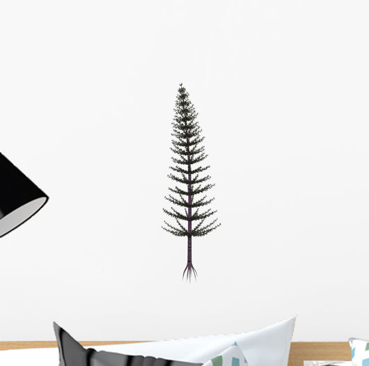 Calamites Prehistoric Tree from Wall Decal