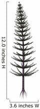 Calamites Prehistoric Tree from Wall Decal