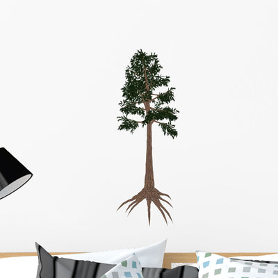 Archaeopteris Prehistoric Tree from Wall Decal shown on a wall
