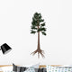 Archaeopteris Prehistoric Tree from Wall Decal