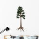 Archaeopteris Prehistoric Tree from Wall Decal