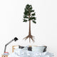 Archaeopteris Prehistoric Tree from Wall Decal