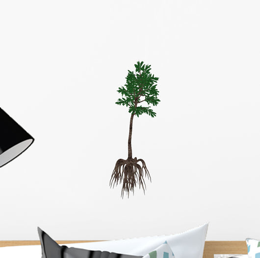 Cordaites Prehistoric Plant from Wall Decal