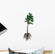 Cordaites Prehistoric Plant from Wall Decal