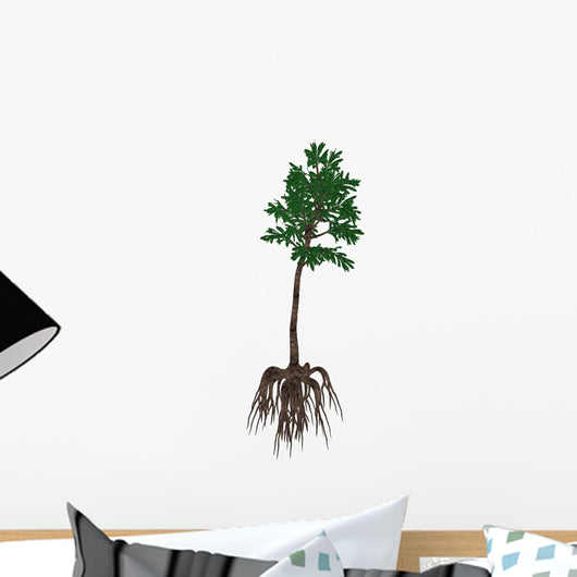 Cordaites Prehistoric Plant from Wall Decal