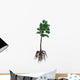 Cordaites Prehistoric Plant from Wall Decal