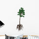 Cordaites Prehistoric Plant from Wall Decal