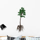 Cordaites Prehistoric Plant from Wall Decal