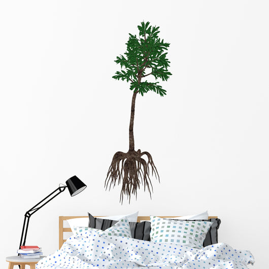 Cordaites Prehistoric Plant from Wall Decal