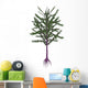 Dicroidium Prehistoric Seed Plant Wall Decal
