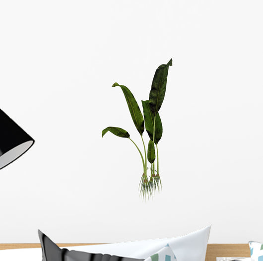 Macrotaeniopteris Prehistoric Plant Wall Decal