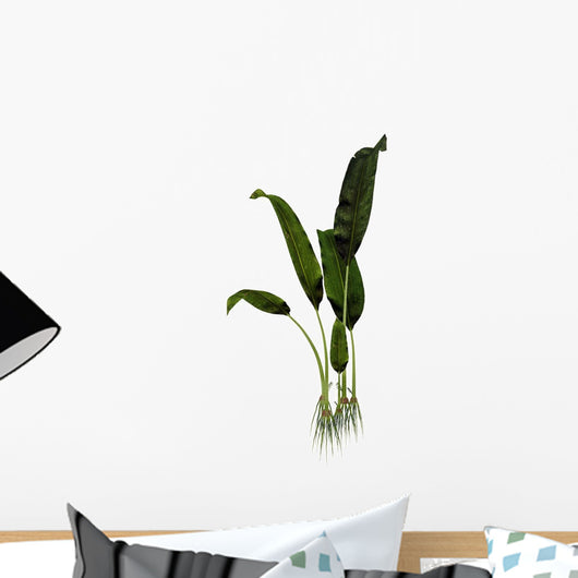 Macrotaeniopteris Prehistoric Plant Wall Decal