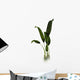 Macrotaeniopteris Prehistoric Plant Wall Decal