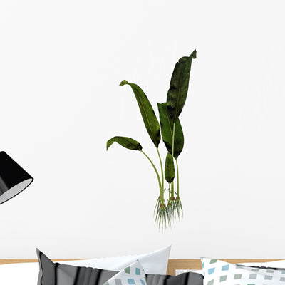 Macrotaeniopteris Prehistoric Plant Wall Decal shown on a wall