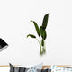 Macrotaeniopteris Prehistoric Plant Wall Decal