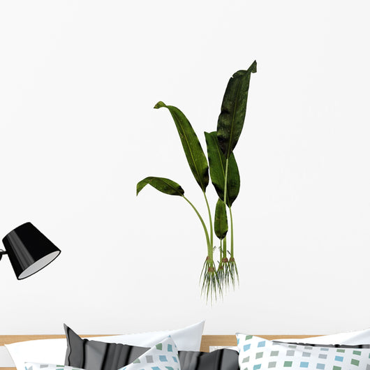 Macrotaeniopteris Prehistoric Plant Wall Decal