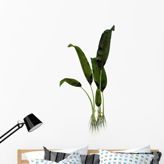 Macrotaeniopteris Prehistoric Plant Wall Decal