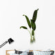 Macrotaeniopteris Prehistoric Plant Wall Decal