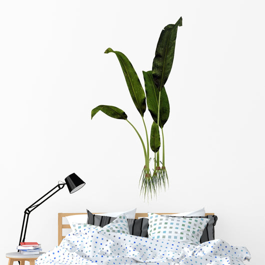 Macrotaeniopteris Prehistoric Plant Wall Decal