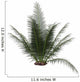 Onychiopsis Prehistoric Fern Wall Decal