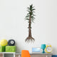 Tempskya Prehistoric Tree-like Fern Wall Decal
