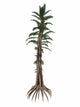 Tempskya Prehistoric Tree-like Fern Wall Decal