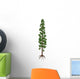 Wollemia Nobilis Prehistoric Tree Wall Decal