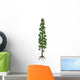 Wollemia Nobilis Prehistoric Tree Wall Decal