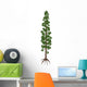 Wollemia Nobilis Prehistoric Tree Wall Decal