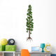 Wollemia Nobilis Prehistoric Tree Wall Decal