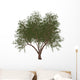 French Tamarisk Tree Wall Decal