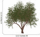French Tamarisk Tree Wall Decal