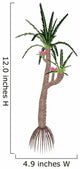 Williamsonia Gigas Prehistoric Tree Wall Decal