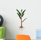 Pachypteris Prehistoric Plant Wall Decal