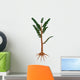 Pachypteris Prehistoric Plant Wall Decal